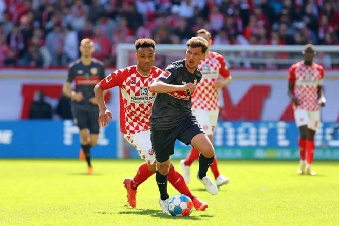 专家无疑是 专家无疑是